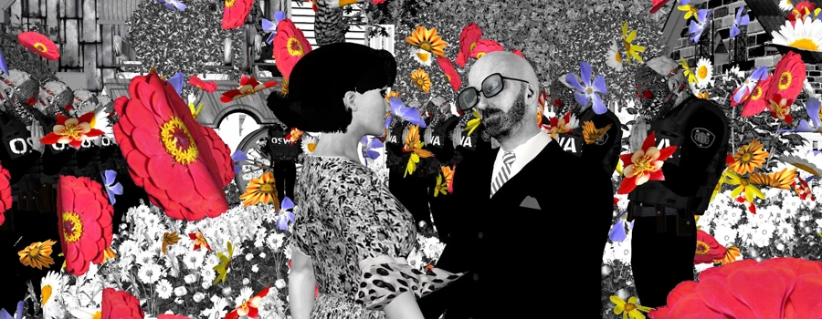 Когда прилетают черные птицы